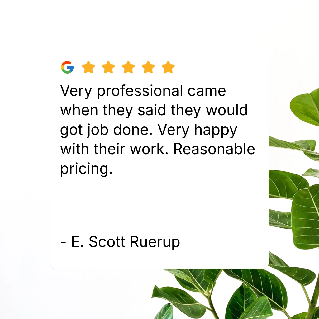 Five-star Google customer review card with green plant leaves on a white background