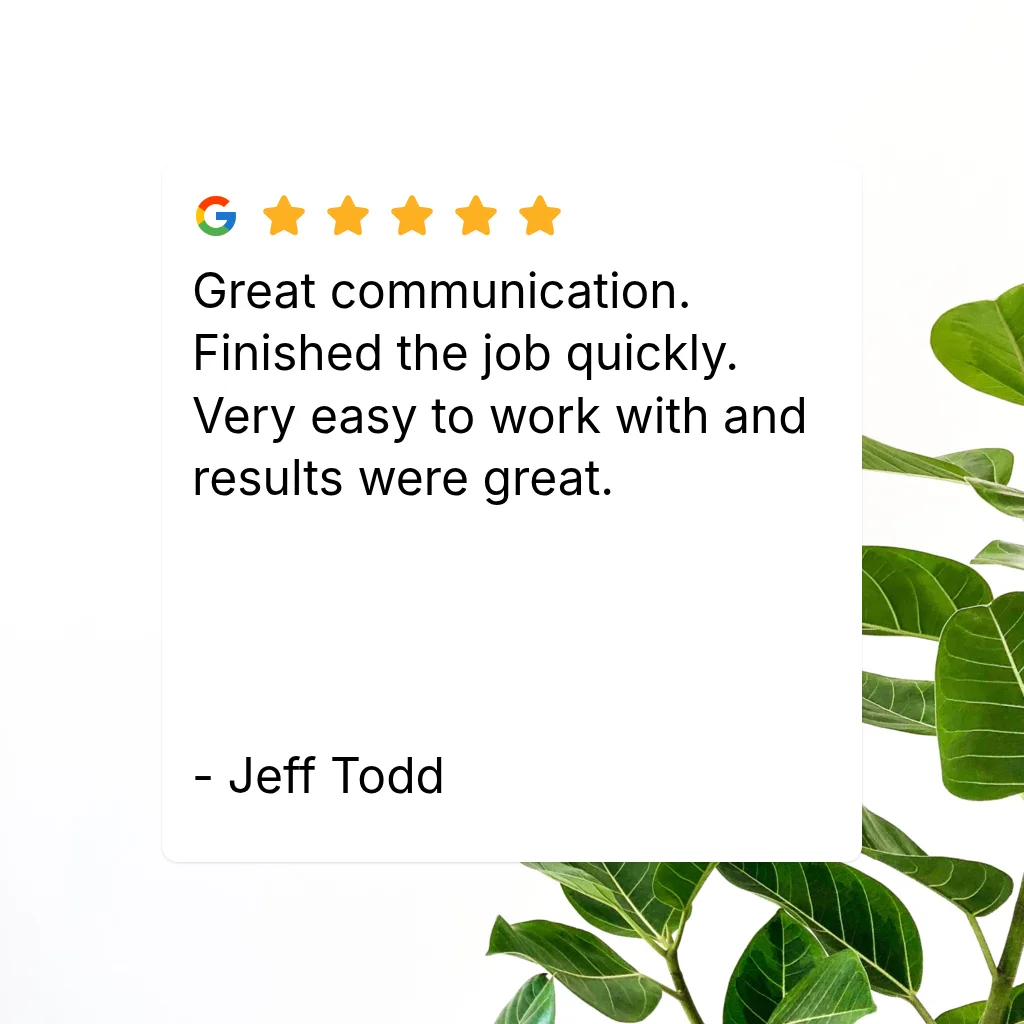 Five-star Google review card from Jeff Todd beside green leafy plant on white background
